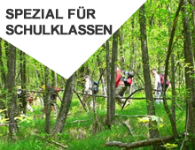 Schulklassen